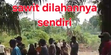 Kades Sinama Nenek Diduga Rangkap Jabatan Sebagai Wakil Ketua KNES, Warga  Resah Tak Bisa Panen Sawit