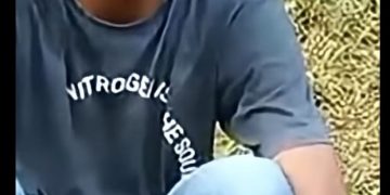 Orang Diduga Suruhan KNES Aniaya Supir dan Rusak Truk Sawit serta Sepeda Motor Warga