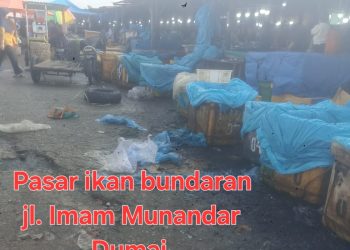 Pasar Tradisional Bundaran Imam Munandar Semrawut, Ruas Jalan Menyempit dan Pasar Ikan Bau Busuk