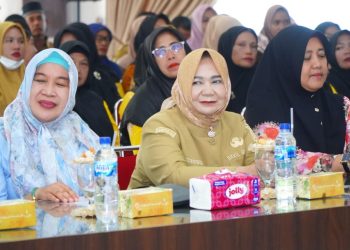 Wakil Bupati Langkat Buka Workshop Integrasi Data Program Sehati Bunda