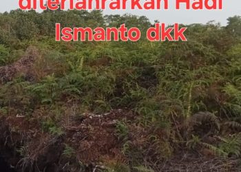 Warga Desa Tanjung Leban Keluhkan Penelantaran Lahan Kawasan Hutan 190 Hektar yang Diklaim Pengusaha