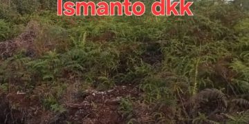 Warga Desa Tanjung Leban Keluhkan Penelantaran Lahan Kawasan Hutan 190 Hektar yang Diklaim Pengusaha