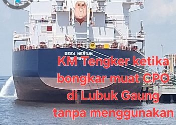P3KD Riau Desak Tiga Kementerian Evaluasi Perusahaan di Kawasan Industri Lubuk Gaung