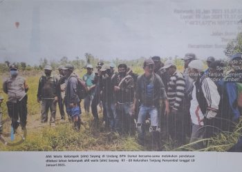 P3KD Riau Soroti Dugaan Penyerobotan 1.048 Hektare Tanah Negara di Tanjung Penyembal