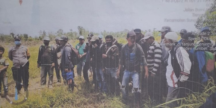 P3KD Riau Soroti Dugaan Penyerobotan 1.048 Hektare Tanah Negara di Tanjung Penyembal