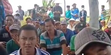 Panen Raya di Tanjung Penyembal Diwarnai Polemik Status Lahan, Petani Resah
