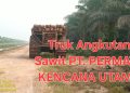 Surat Penugasan KSO PT PKU di Lokasi MNI Dipersoalkan, Legalitas dan Tata Kelola Diminta Diperiksa
