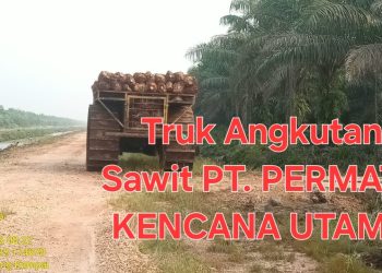 Surat Penugasan KSO PT PKU di Lokasi MNI Dipersoalkan, Legalitas dan Tata Kelola Diminta Diperiksa